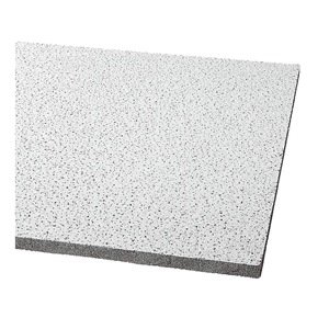 Acoustical Ceiling Tile 48