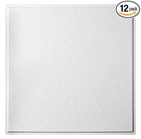 Genesis Easy Installation Stucco Pro Revealed Edge Lay-In White Ceiling Tile/Ceiling Panel, Carton of 12 (2' x 2' Tile)